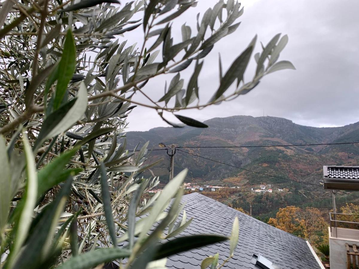 Casa Do Julien Mountain Experience Villa Vila Real Ngoại thất bức ảnh